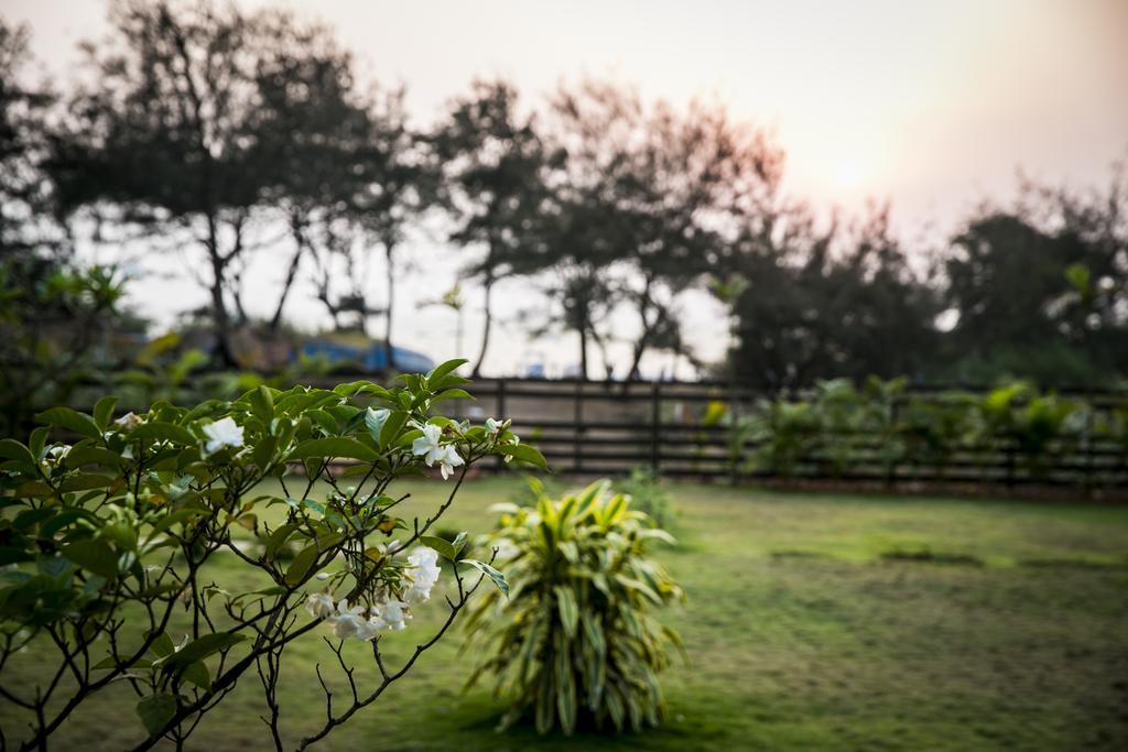 Casa Cubo By The Beach Bed and Breakfast Calangute Exterior foto